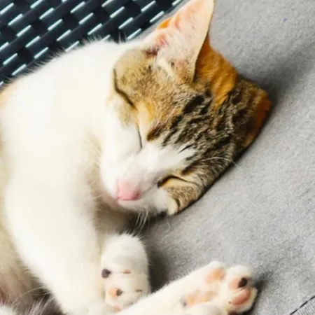 Feriehus Con Inmejorables Vistas Al Oceano Y La Gomera Chío